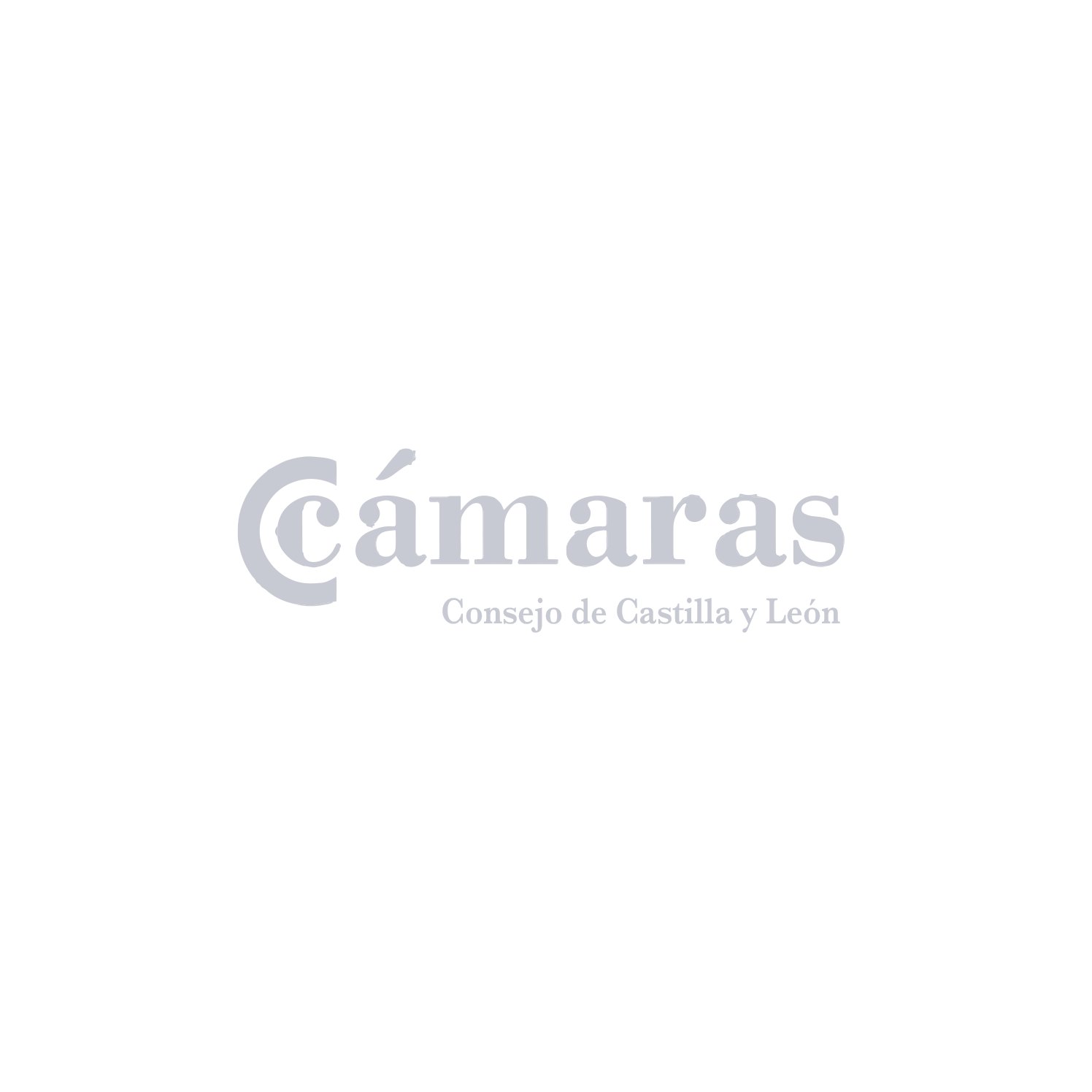 Consejo de Cámaras Oficiales de Comercio, Industria y Servicios de Castilla y León